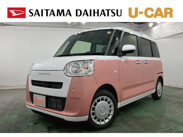ムーヴキャンバス  ストライプス X