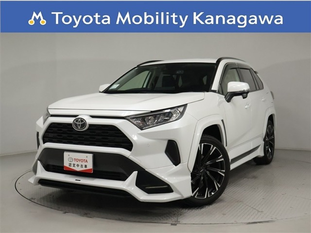 RAV4 2.0 X 