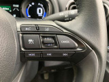 前方の車との車間を設定し、スピードを上げたり緩めたりを自動で行ってくれる追尾式の「レーダークルーズ」。上級装備の一つです!高級車にしかつかない嬉しい機能です。