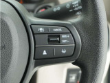 ◆アダプティブクルーズコントロール◆予め設定した車速内でクルマが自動的に加減速。前走車との適切な車間距離を維持しながら追従走行します。【LKAS】車線維持支援システムでステアリング操作を支援。