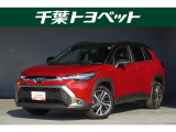 【メイン】 千葉・茨城・埼玉・東京・神奈川での登録、及びご来店いただける方への販売に限らせていただきます。