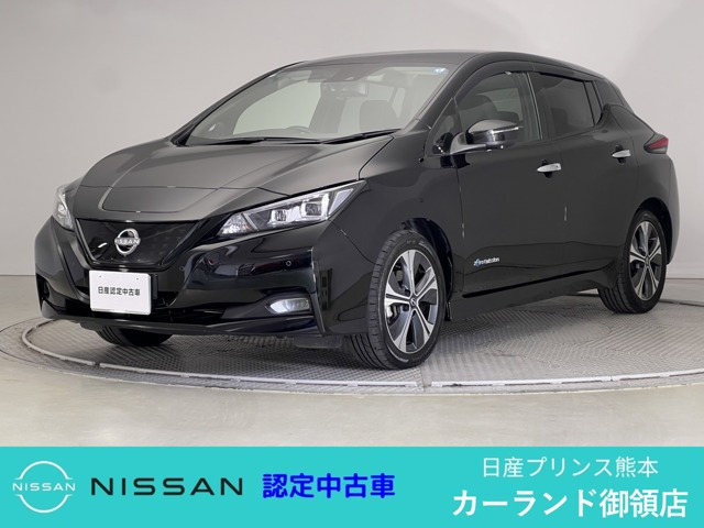 リーフ  X Vセレクション
