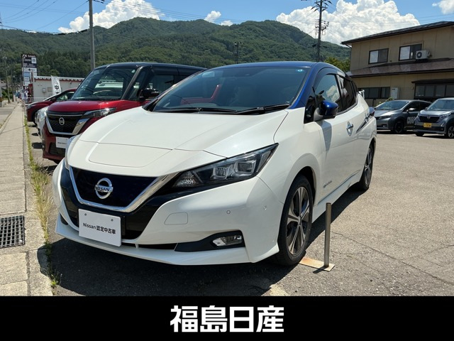 リーフ G 