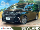 ガラスルーフ 両側電動ドア 後席モニター 全周囲カメラ 電動リアゲート