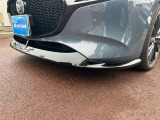 純正シグネチャースタイル装着車!