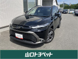 県外への販売は近隣県(福岡・広島・島根)のみとさせていただいておりますのでご了承くださいませ。