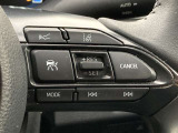 前方の車との車間を設定し、スピードを上げたり緩めたりを自動で行ってくれる追尾式の「レーダークルーズ」。上級装備の一つです!高級車にしかつかない嬉しい機能です。