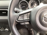 ステアリング左にはオーディオスイッチをまとめて配置しており、運転中のオーディオ操作による危険を減らしてくれます。