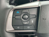 これが噂のプロパイロット♪運転支援システムではありますがハンドルは優しく手を添えていてください♪