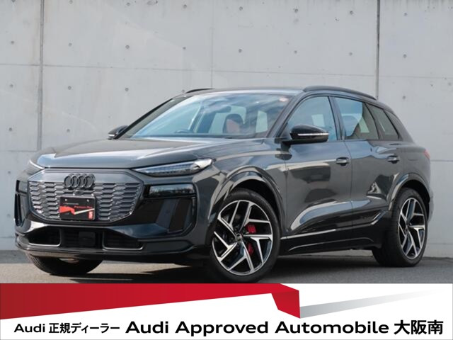 SQ6 e-tron 4WD