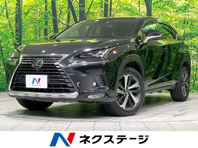 NX 200t Iパッケージ