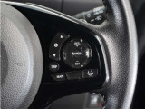 ◆アダプティブクルーズコントロール◆予め設定した車速内でクルマが自動的に加減速。前走車との適切な車間距離を維持しながら追従走行します。【LKAS】車線維持支援システムでステアリング操作を支援。