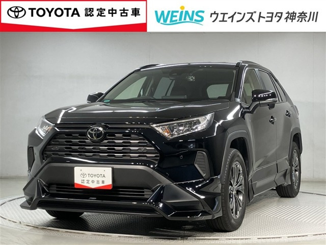 RAV4 2.0 X 