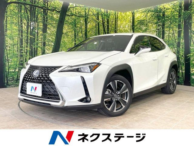 UX250h バージョンL