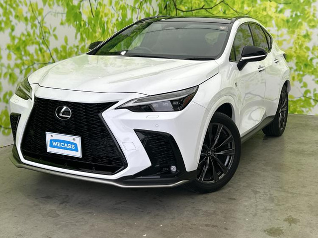 NX350h Fスポーツ