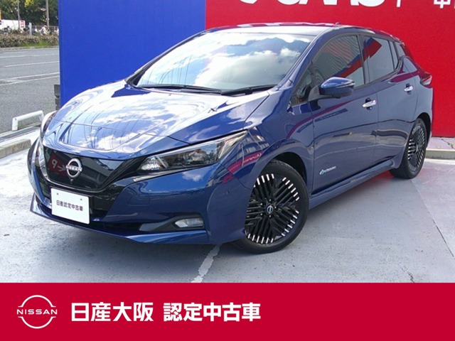 リーフ G