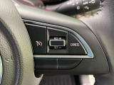 【クルーズコントロール】高速道路もラクラク走行。アクセルを離しても一定速度で走行ができ、長距離運転時の負担を軽減!加速・減速も簡単なスイッチ操作で調整できます。