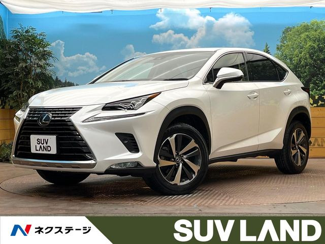 NX 200t Iパッケージ 