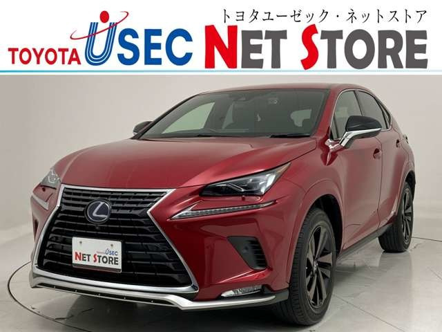 NX300h スパイス&シック 4WD