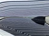 ルーフに、1cm〜5cmほどのへこみが複数ある車両となっております。