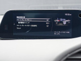 こちらのお車には先進安全装備が多数搭載されています。衝突被害を回避あるいは軽減するためのブレーキや、後方死角からの接近警報、車線逸脱を防止する警報装置など、詳しくはスタッフまでお尋ねください。