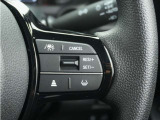◆アダプティブクルーズコントロール◆予め設定した車速内でクルマが自動的に加減速。前走車との適切な車間距離を維持しながら追従走行します。【LKAS】車線維持支援システムでステアリング操作を支援。