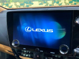 NX 250 