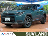 サンルーフ 全周囲カメラ 4WD 100V電源