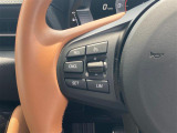 スープラ 3.0 RZ 6MT本革シート