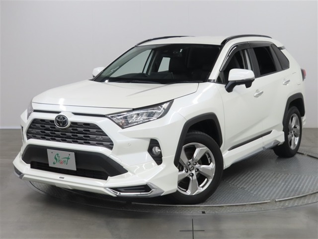 RAV4 2.0 G 4WD