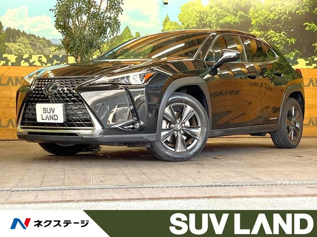 UX 250h バージョンC