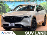 10型ナビフルセグ 全周囲カメラ 黒革 6人 ウォークスルー ディーゼル