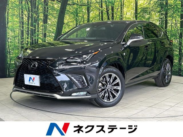 NX300 クール&ブライト特別仕様車