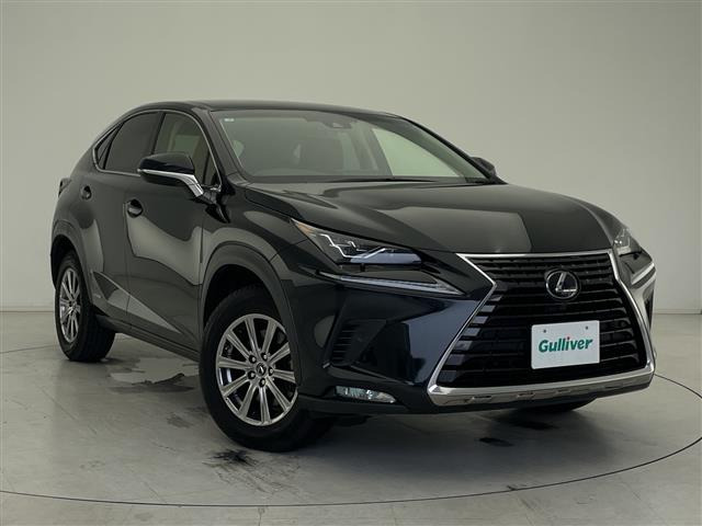 NX 300h Iパッケージ 本革シート ワンオーナー