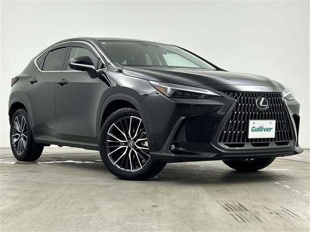 NX 350h バージョンL 本革シート 修復歴無し