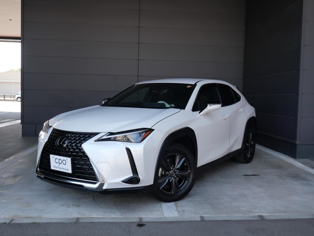 UX 250h 4WD