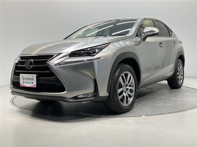 NX 200t Iパッケージ