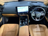 NX 250 