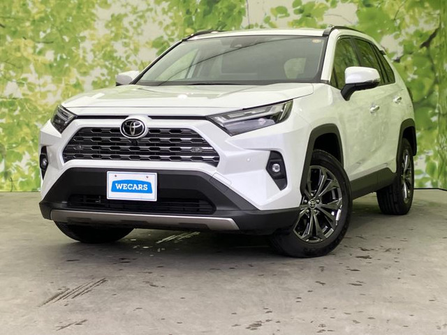 RAV4 2.5 ハイブリッド G E-Four 4WD