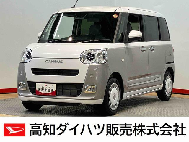 ムーヴキャンバス  ストライプス G