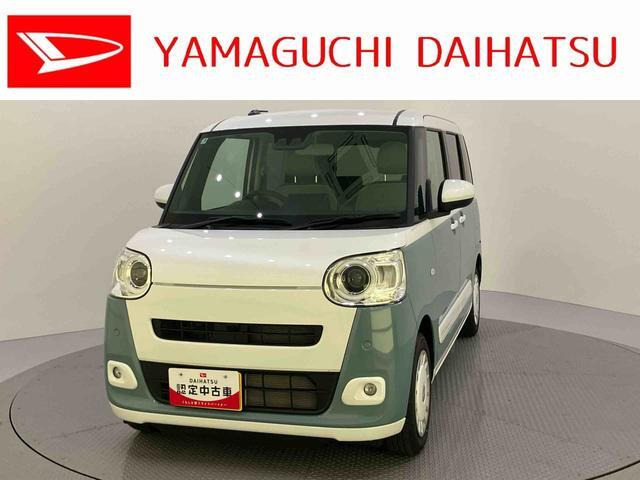 ムーヴキャンバス  ストライプス G