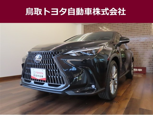 NX 250 バージョンL 4WD 