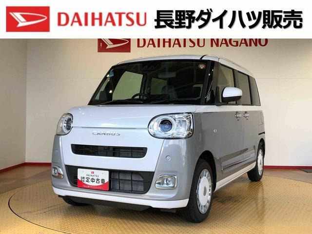 ムーヴキャンバス ストライプス G