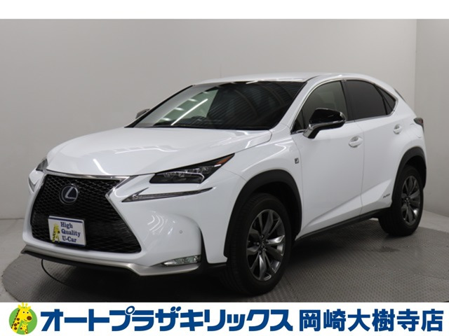 NX 300h Fスポーツ