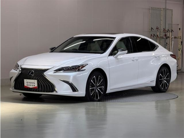 ES 300h バージョンL