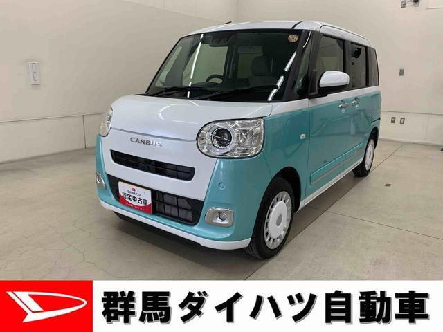 ムーヴキャンバス  ストライプス G