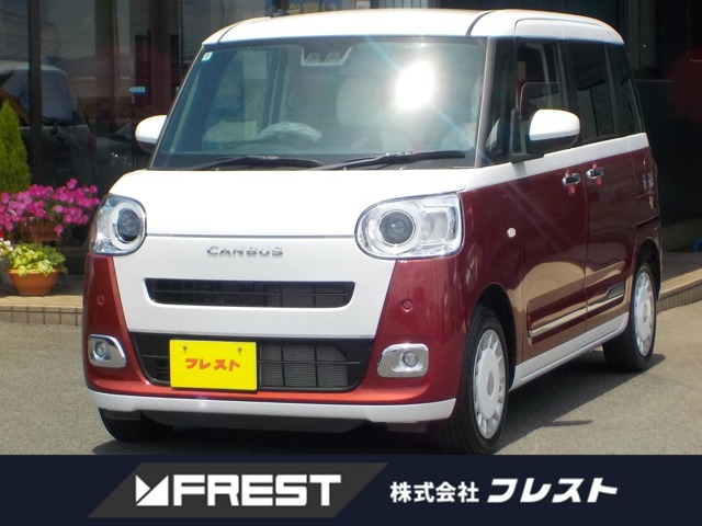 ムーヴキャンバス  ストライプス G