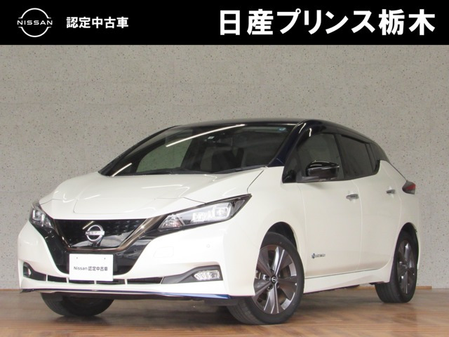リーフ e+ アーバンクロム