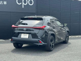 UX 250h 