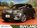 純正9.8型ディスプレイ 全周囲カメラ 衝突被害軽減システム